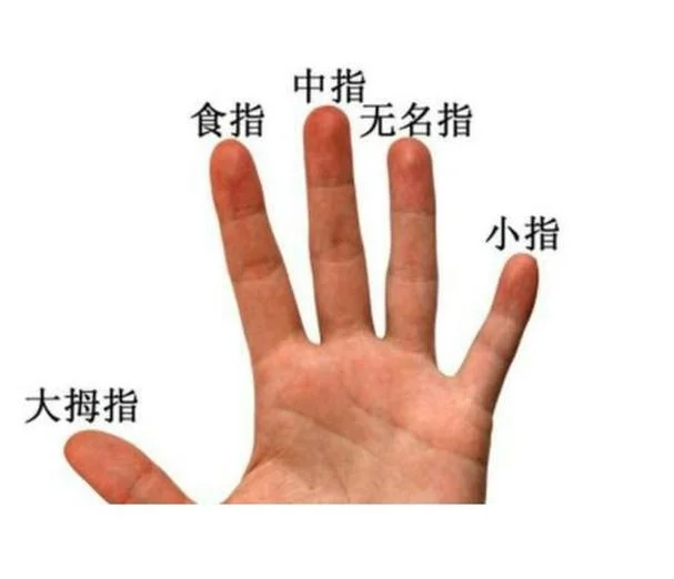小指无名指合不拢手相_1