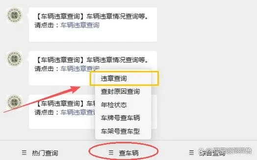 不是自己的车如何查违章_2
