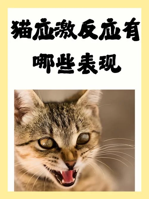 惊呼狂叫什么意思_1