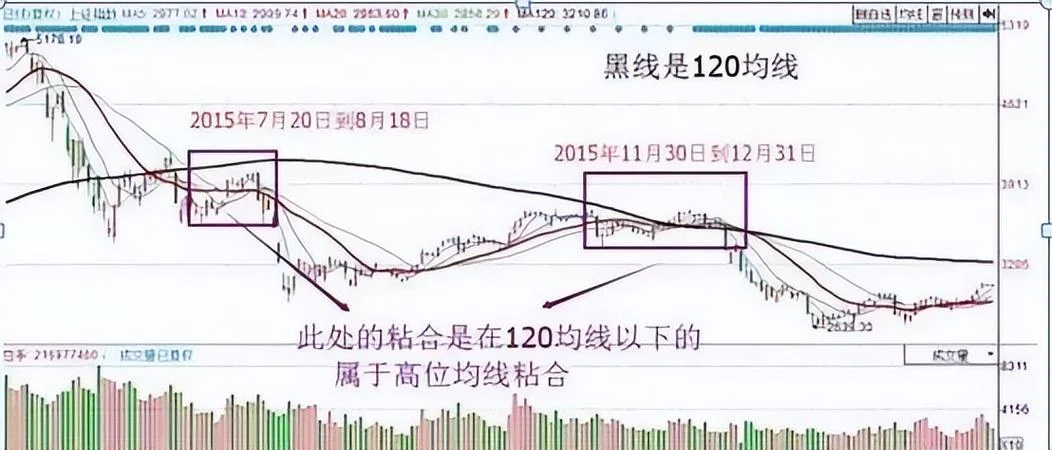 明日大涨股选股公式_2