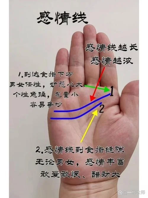 面相和手相一样的吗-面相手相是否相同