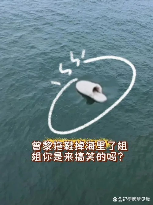 梦见找拖鞋也没拿到_2