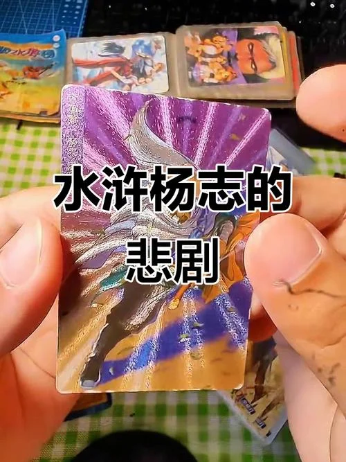 杨志简介和作用-杨志生平及作用