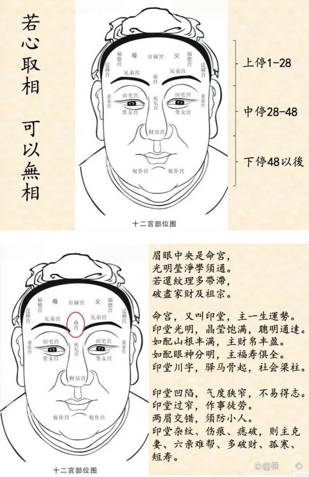 面相运势图片-面相运势图精选