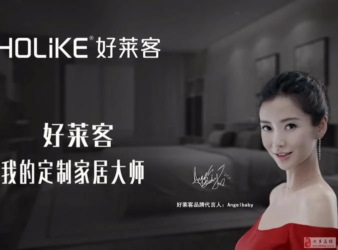 好莱客衣柜有限公司_2