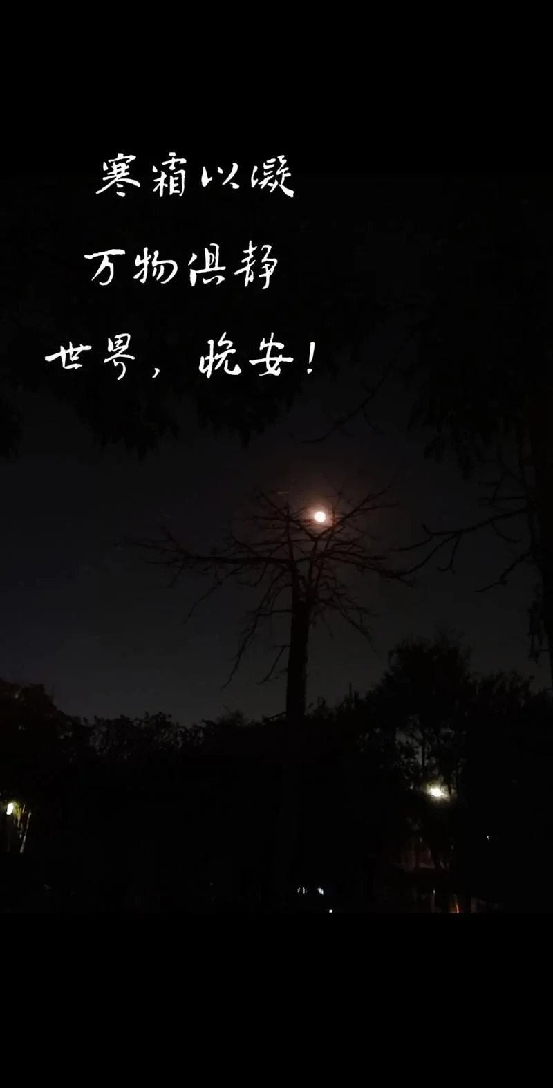 夜间文案句子正能量_2