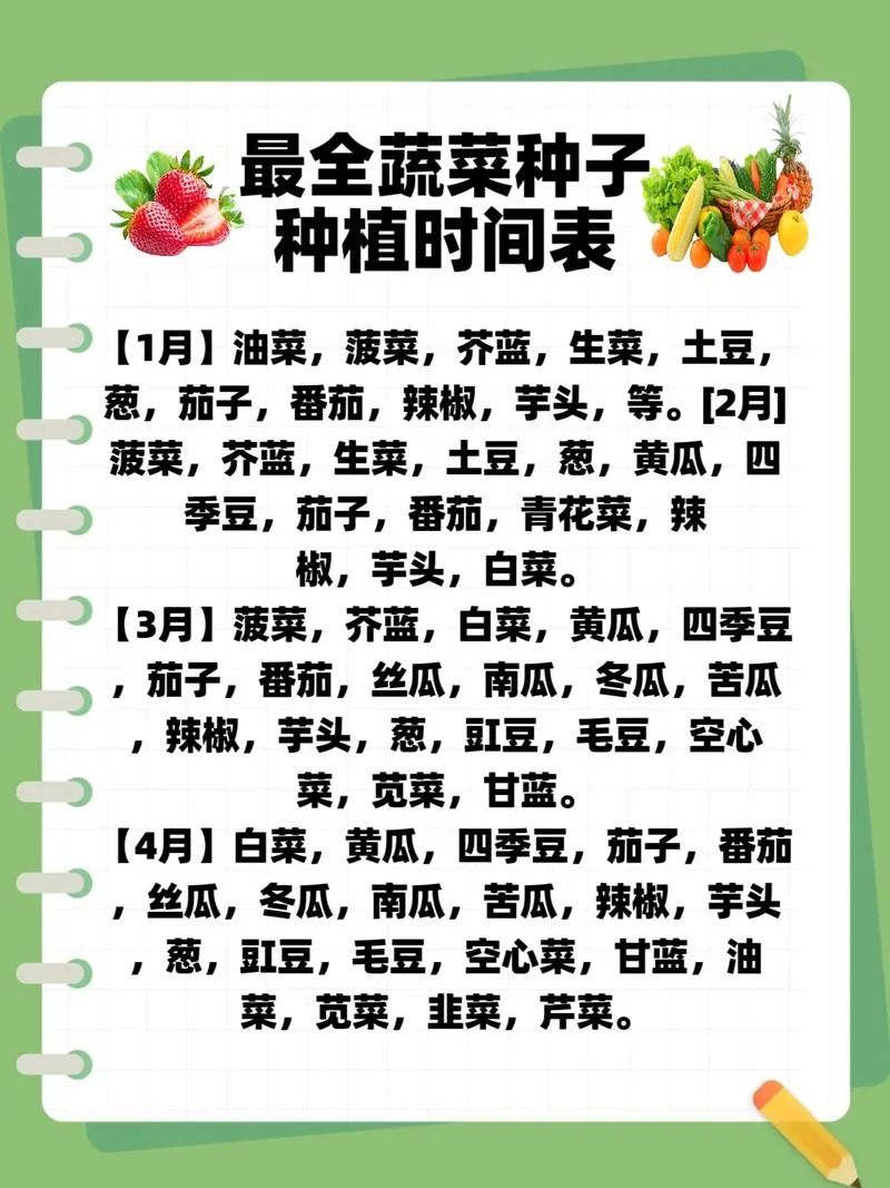 油麦菜几月份种植最好-油麦菜最佳种植时间
