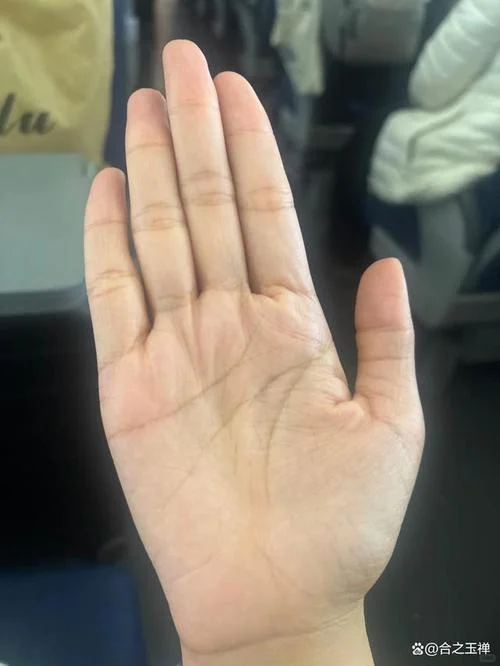 手相道眼纹在手掌_1