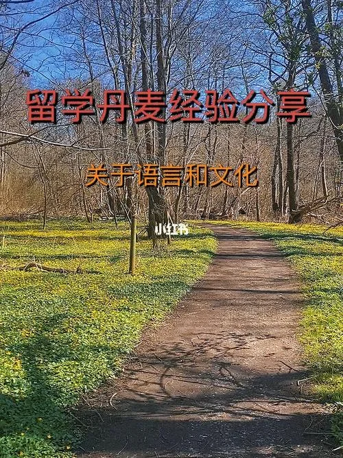 丹麦留学语言要求-丹麦留学语言要求
