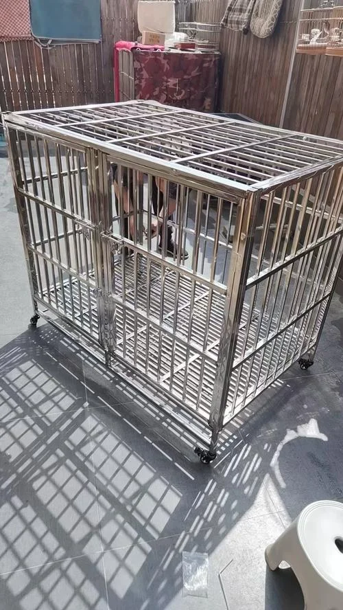 蝴蝶犬买什么样的笼子-蝴蝶犬选何种笼