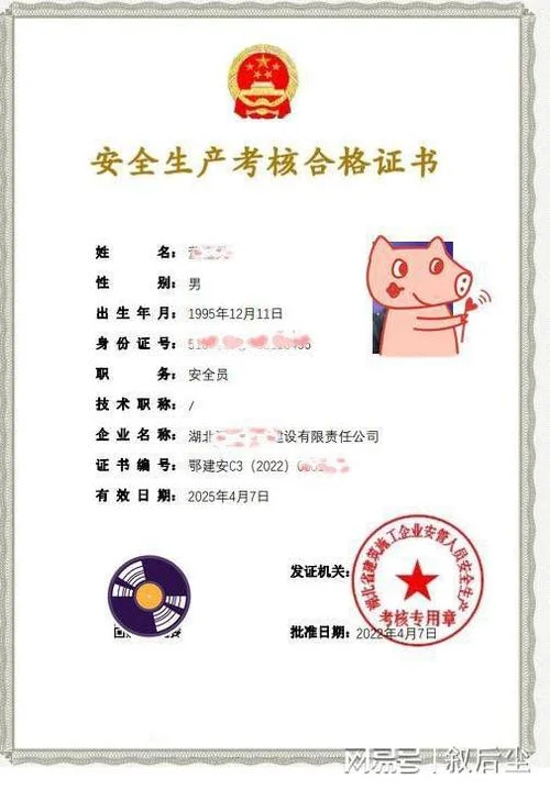 国家安全生产资格证书查询系统_2