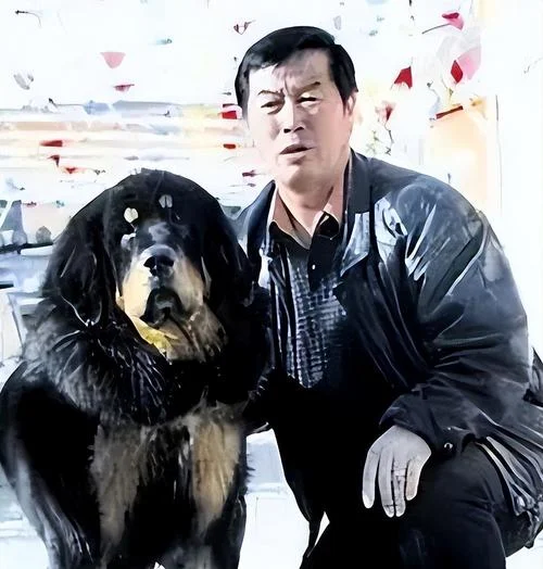 藏獒一只多少钱_1