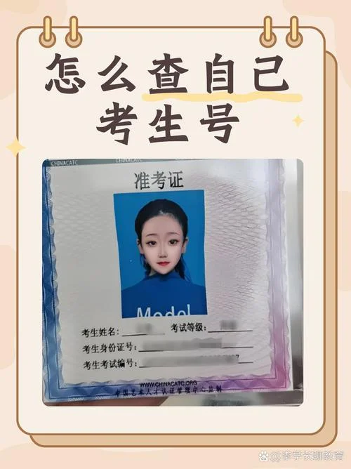 学生考生号在哪查_1