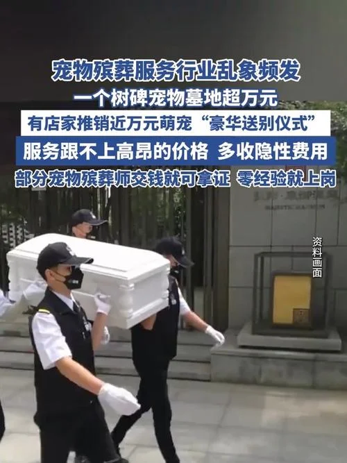 宠物殡葬需要哪些资质-宠物殡葬资质要求