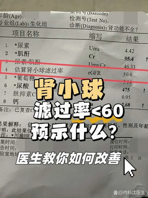 肾小球滤过率最新计算公式_2