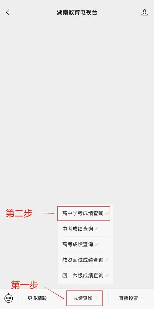 湖南招考网成绩查询_1
