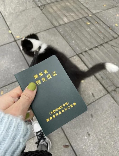 南宁宠物狗检疫证明_1