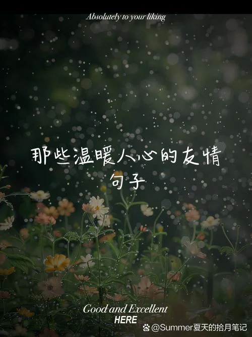人生好朋友感悟的句子-人生好友感悟句
