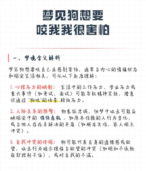 梦见狗咬我什么预兆_1
