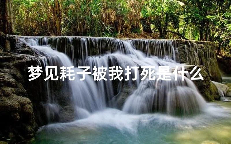 梦见老鼠打死了是什么征兆-梦鼠打死预示凶兆