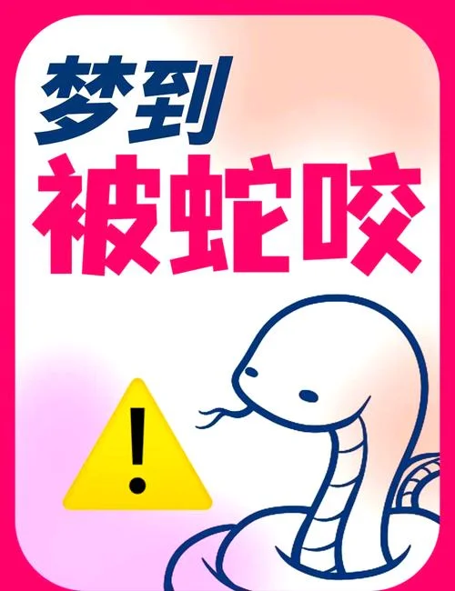 女孩老梦见蛇-女孩总梦见蛇
