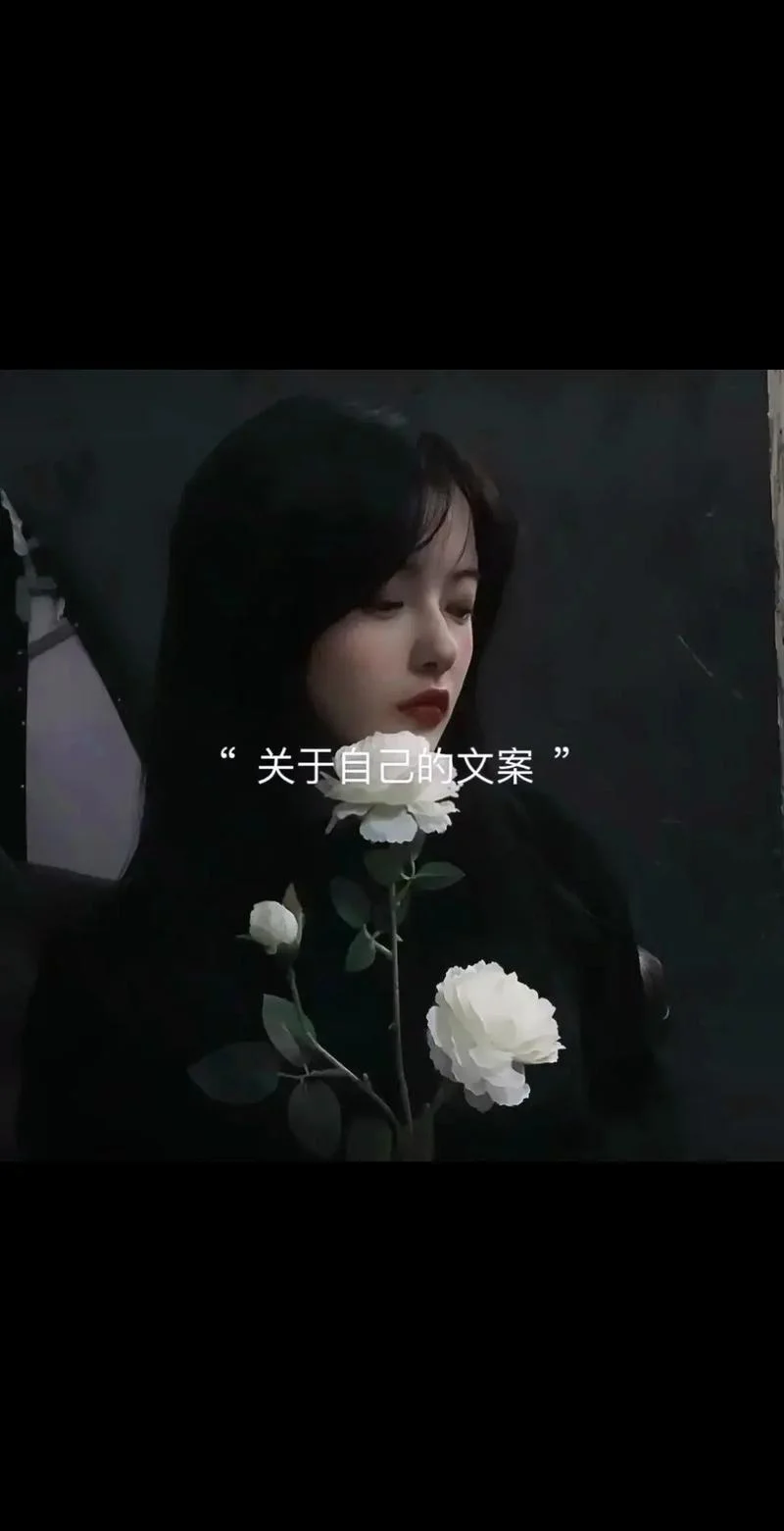 文案_1