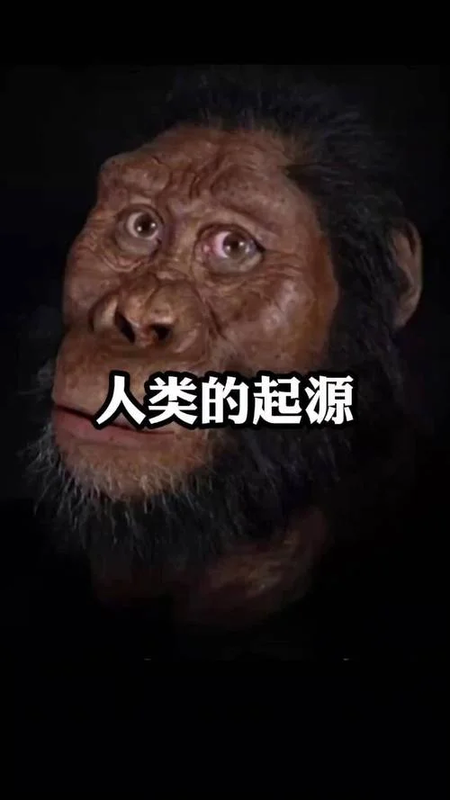 人类_1