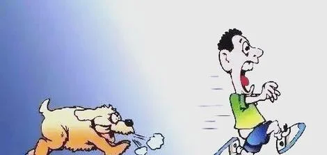 做梦梦到宠物狗咬自己_1
