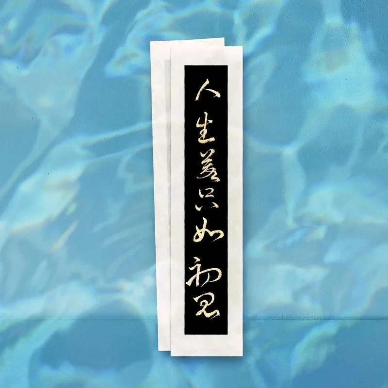 人生只若初相见下一句-人生只若初见时