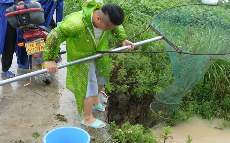 梦见网鱼被人发现_1
