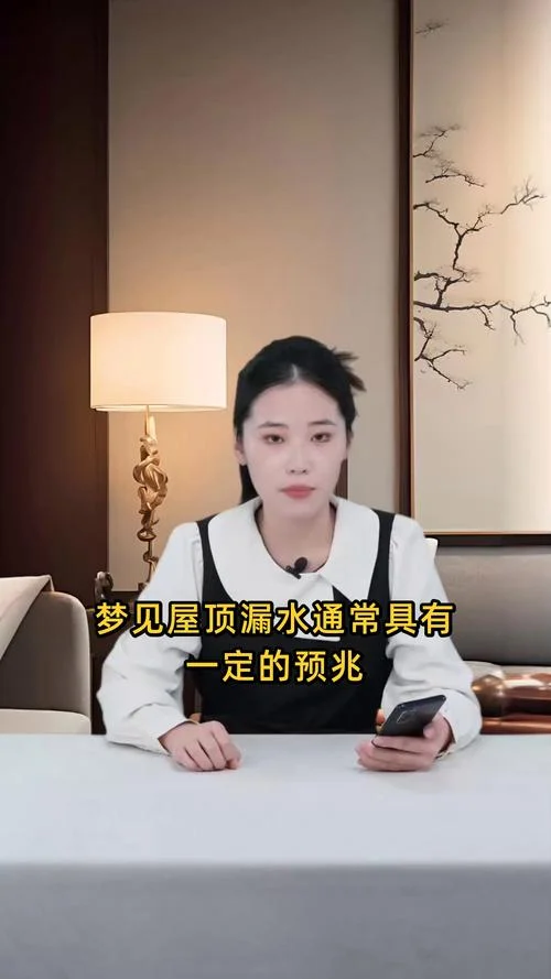 梦见漏水怎么解决_2