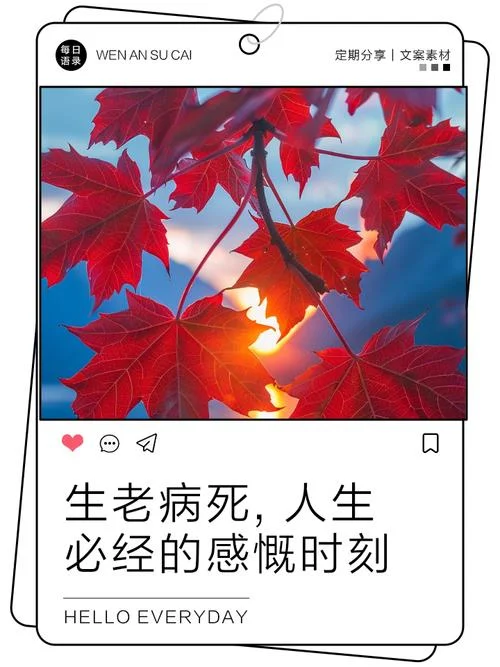 生与死的感悟经典语录_1