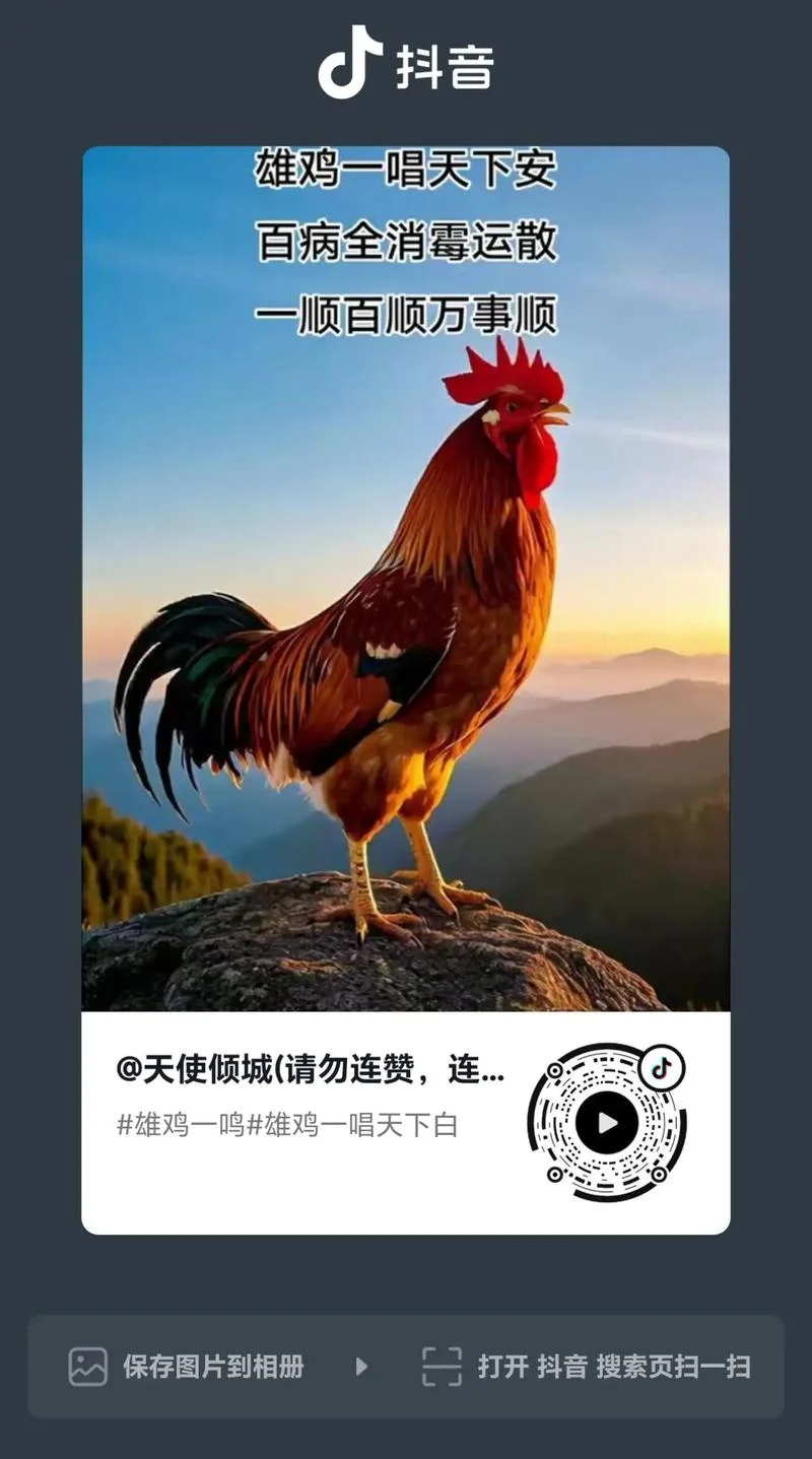鸡年祝福的成语_2