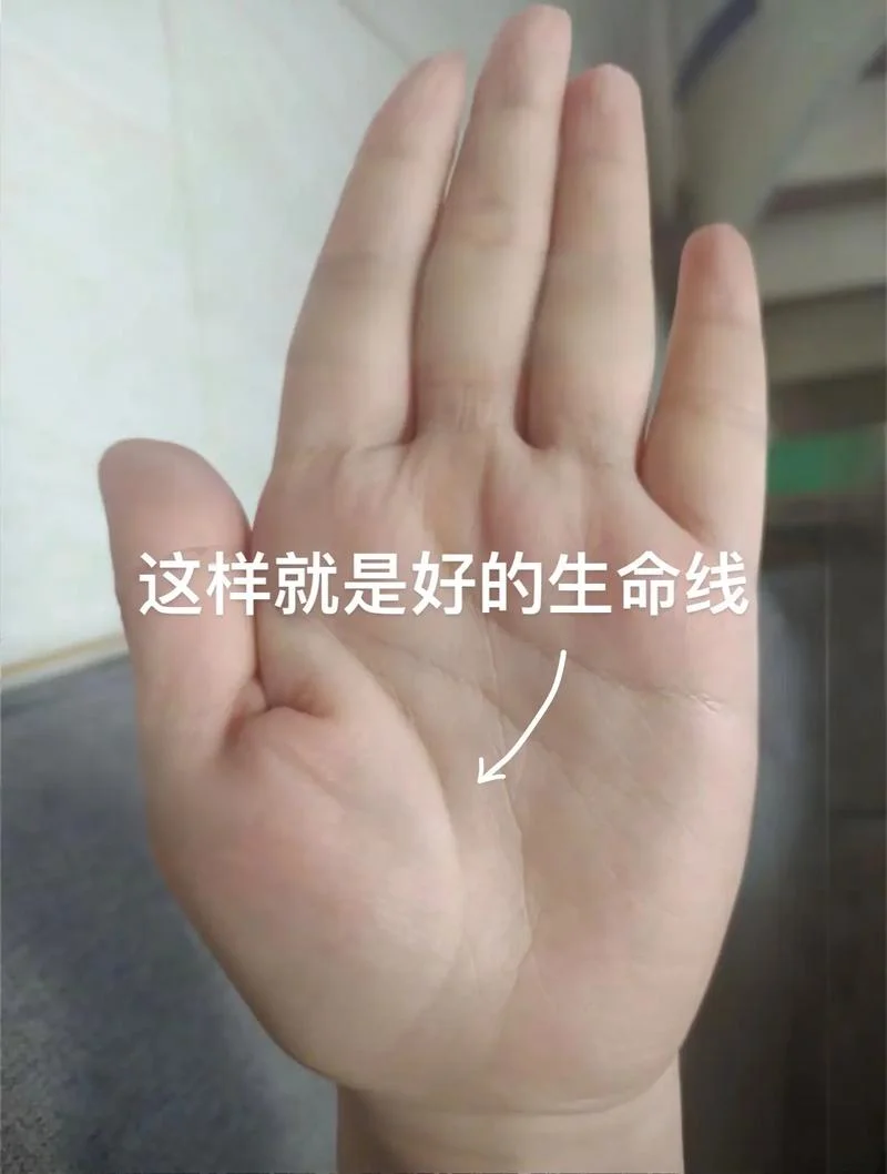 女生把刀纹手相_1