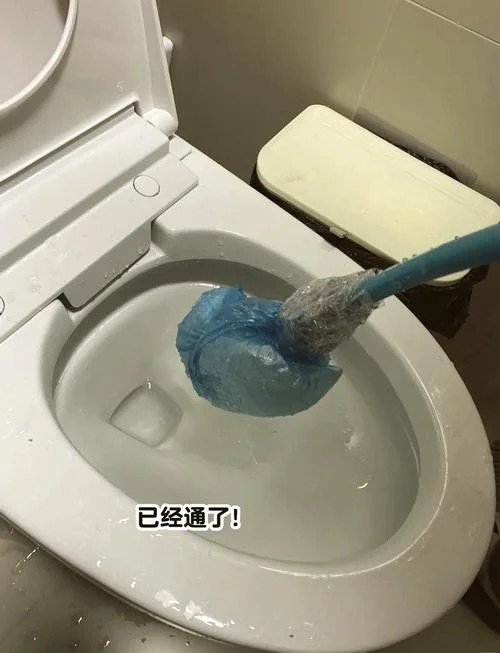 梦见马桶堵了冲不下去_1