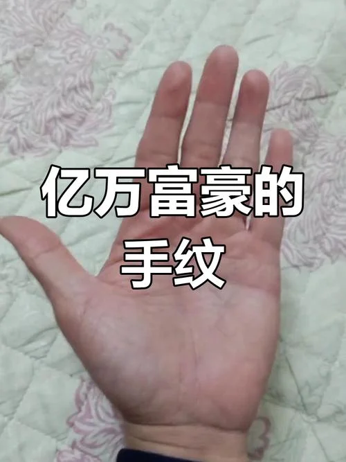 企业家大富豪手相_2
