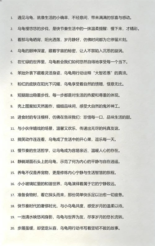 梦见你的搞笑文案乌龟_2