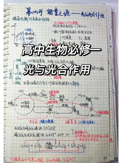 光合作用公式_1