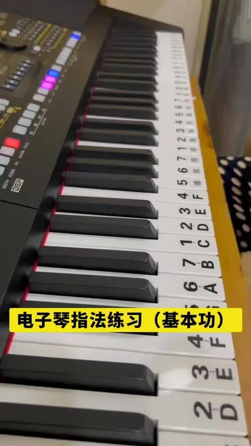 怎么学弹电子琴好听点-弹电子琴易学好听