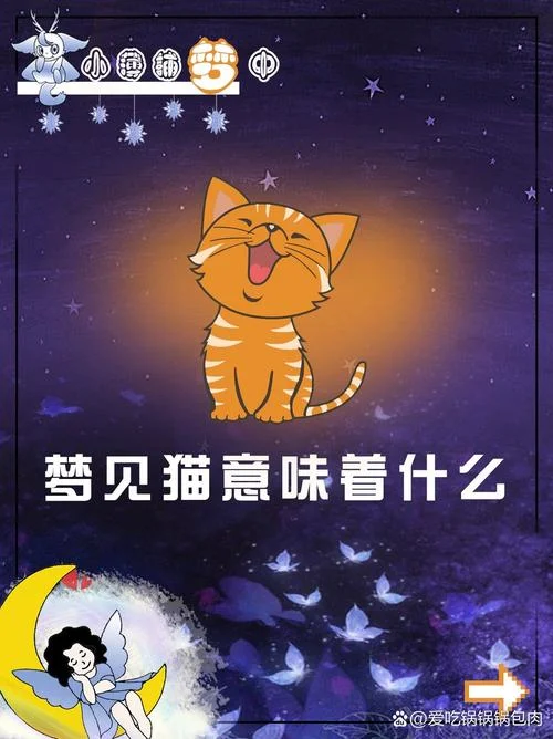 梦见被猫压床预示着什么_1