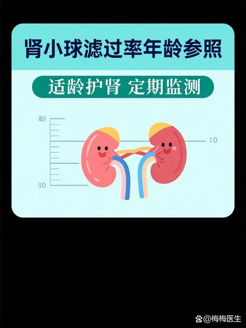 肾小球滤过率最新计算公式_1