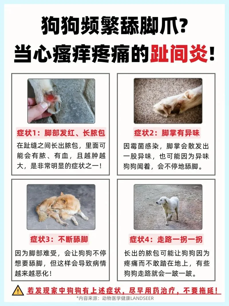 狗狗不舒服怎么办_1