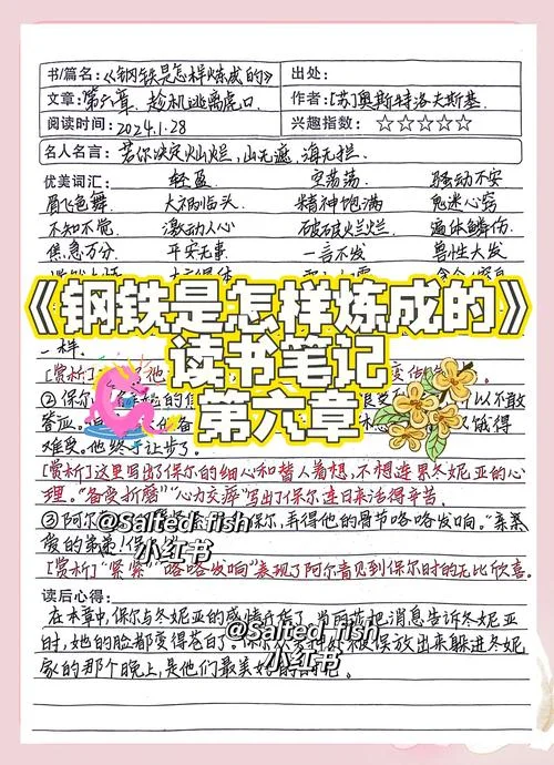 钢铁是怎样炼成的每章感悟50字_2