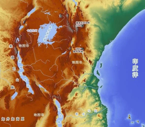 多多马是哪个国家-中国多多马