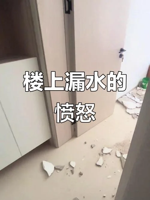 梦见楼上渗水到我家_1