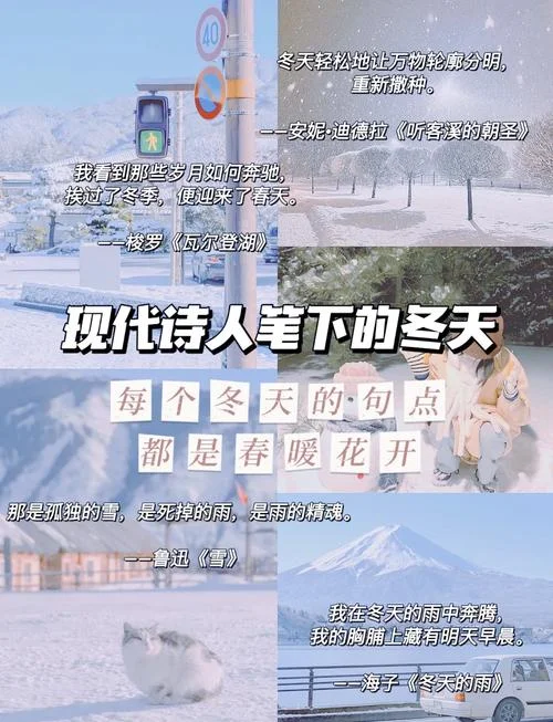 冬天的秘密文案-冬夜秘境文案