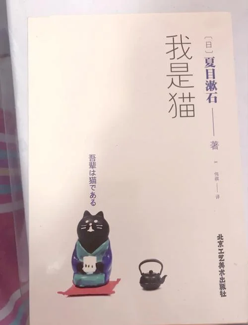 猫作者是谁-猫作者是谁