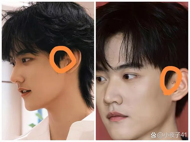 历史上耳朵小的名人-历史上耳小人