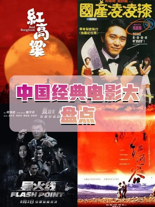 国产经典剧情电影_2
