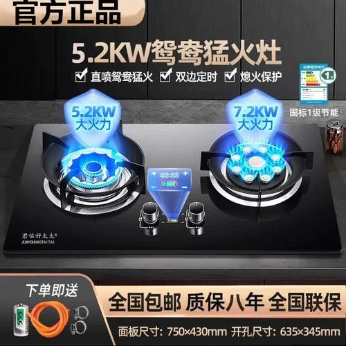 十大品牌燃气炉_1